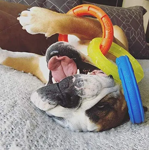 Nerf Dog - Juguete para perro, multicanal, TPR