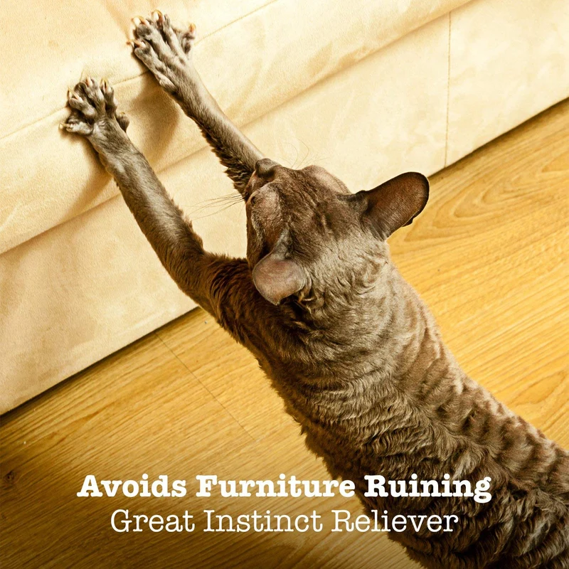 Animales Favorite Cat Play Mat, tienda de campaña Centro de Actividad con colgar juguetes
