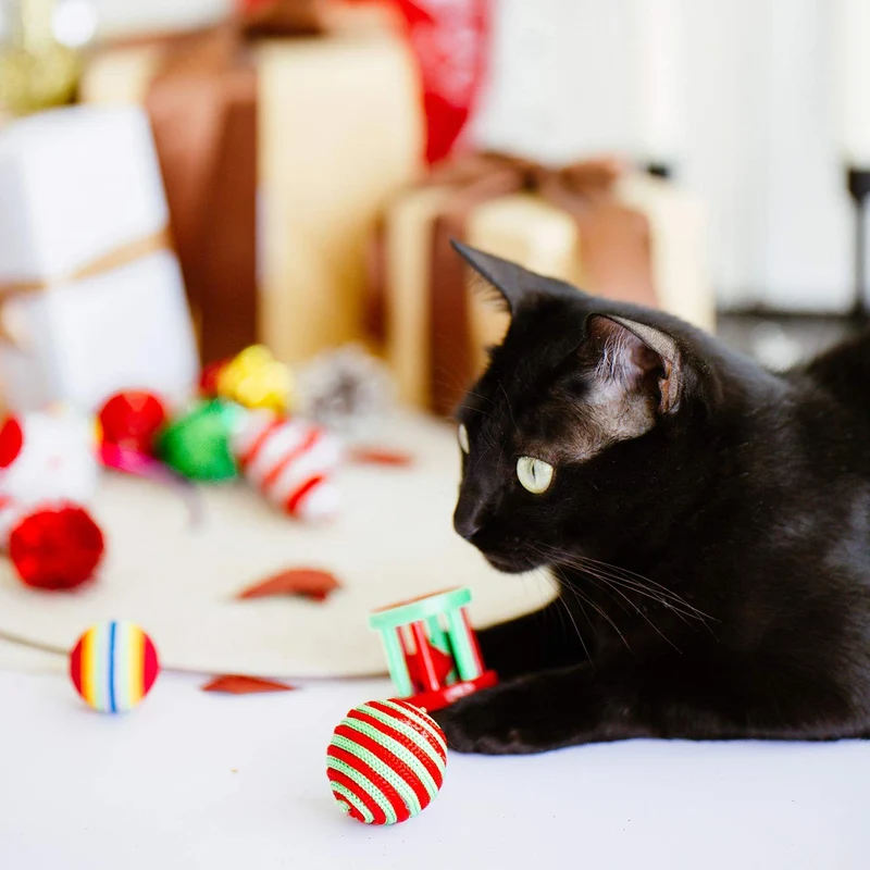 Highland Farms Set de regalo de Navidad para gatos – Relleno de juguete para gatos – Pack de 12 paquetes de juguetes para cesta de fiesta