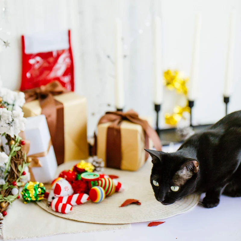 Highland Farms Set de regalo de Navidad para gatos – Relleno de juguete para gatos – Pack de 12 paquetes de juguetes para cesta de fiesta