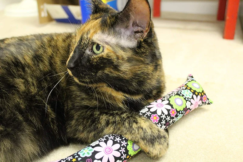 11" Kitty Stick Catnip Cat Toy (4 unidades), varios colores & patrones