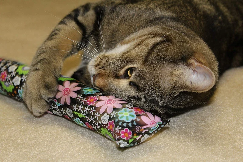 11" Kitty Stick Catnip Cat Toy (4 unidades), varios colores & patrones