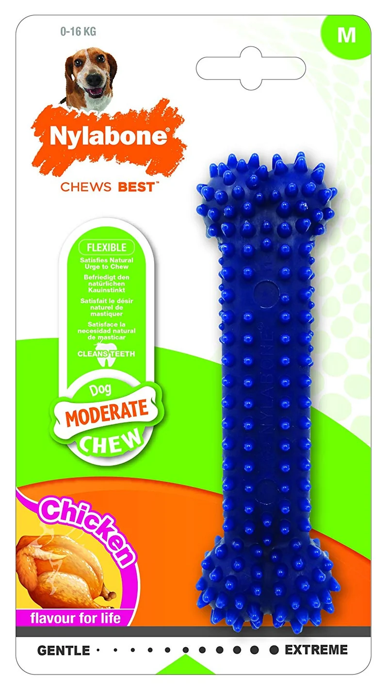 Nylabone Dental Chew Petit