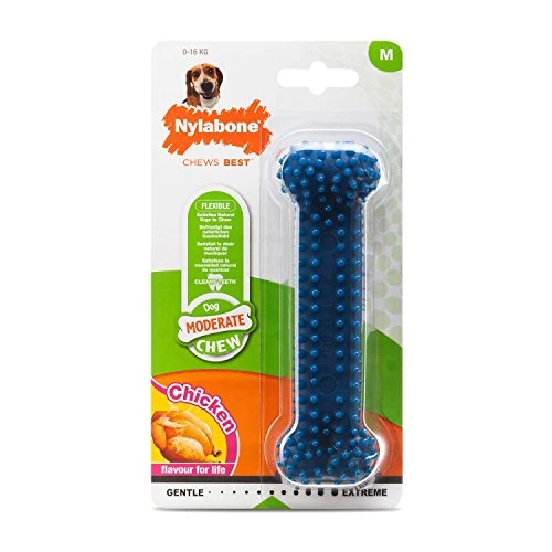 Nylabone Dental Chew Petit