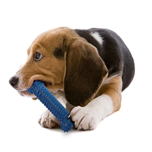 Nylabone Dental Chew Petit