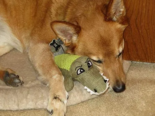 Sancho & Lola's Closet Peluche Juguetes para Perro para Interactivo Jugar Apoyar Perros de Rescate Desde 2015