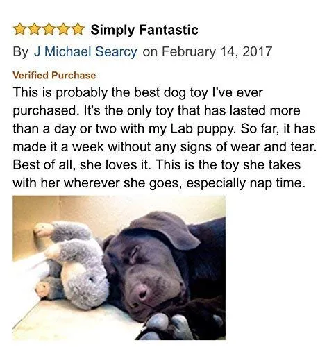 Sancho & Lola's Closet Peluche Juguetes para Perro para Interactivo Jugar Apoyar Perros de Rescate Desde 2015