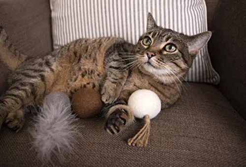 Petlinks Play Pack Cat