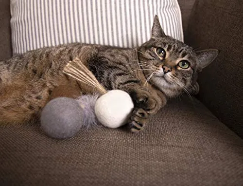 Petlinks Play Pack Cat