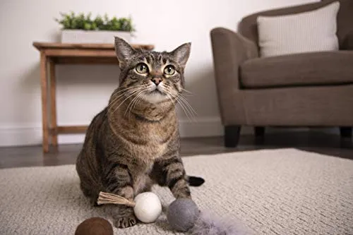 Petlinks Play Pack Cat