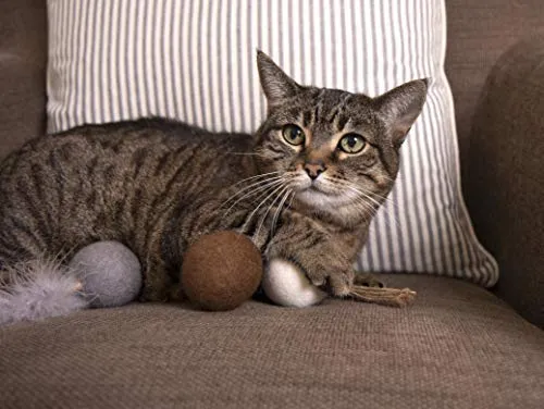 Petlinks Play Pack Cat