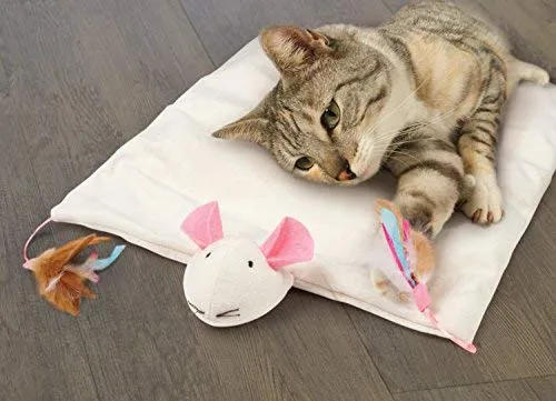 Petlinks Play Pack Cat