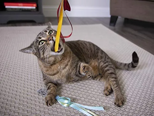 Petlinks Play Pack Cat