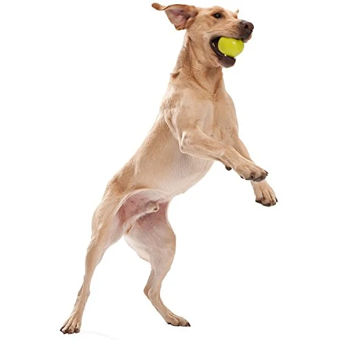 West Paw, Juguete en forma de balón para perro, masticable y resistente, diseño Jive Zogoflex