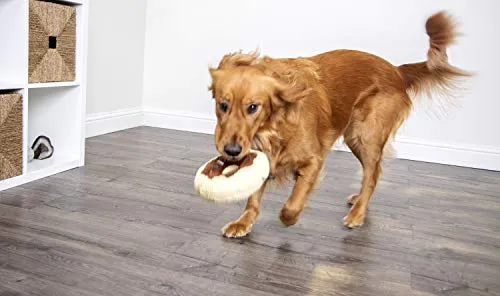 TrustyPup Donuts and Beer Durable Plush Dog Toys with Squeakers
