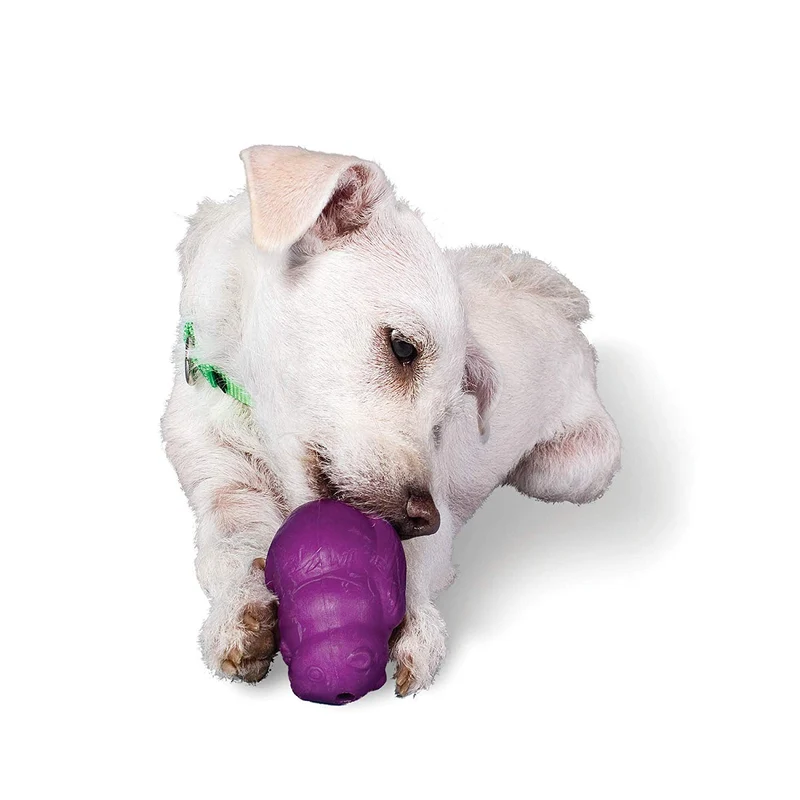 PetSafe Busy Buddy Squirrel Dude juguete para perro