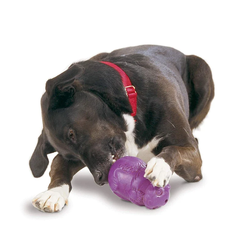 PetSafe Busy Buddy Squirrel Dude juguete para perro