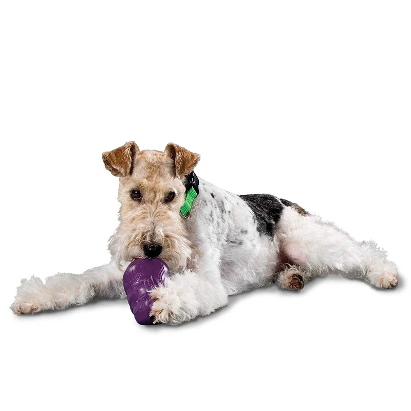PetSafe Busy Buddy Squirrel Dude juguete para perro
