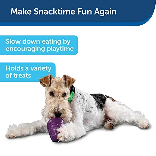 PetSafe Busy Buddy Squirrel Dude juguete para perro