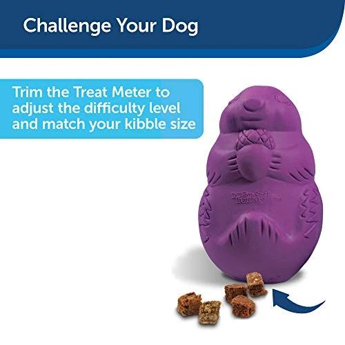 PetSafe Busy Buddy Squirrel Dude juguete para perro