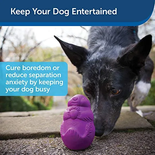 PetSafe Busy Buddy Squirrel Dude juguete para perro