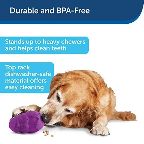 PetSafe Busy Buddy Squirrel Dude juguete para perro