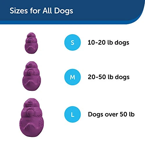 PetSafe Busy Buddy Squirrel Dude juguete para perro