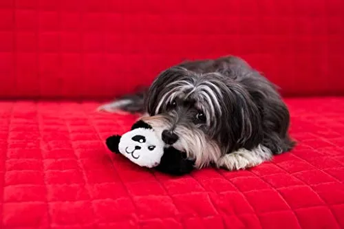 ZippyPaws Squeakie Pad - Peluche para perro