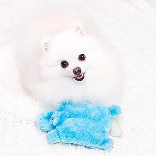 ZippyPaws Squeakie Pad - Peluche para perro