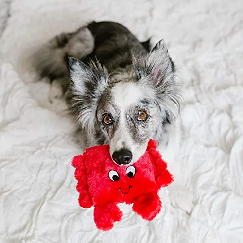 ZippyPaws Squeakie Pad - Peluche para perro
