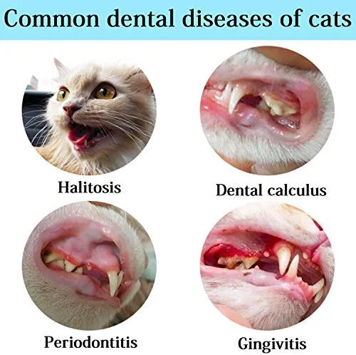 Juguetes de limpieza de dientes de gato, cepillo de dientes de gato, juguete de gato IQ, juguetes interactivos de gato para masticar, cepillo de dientes en forma de pez para masticar mascotas, juguetes de limpieza de dientes de goma para gatos gatitos