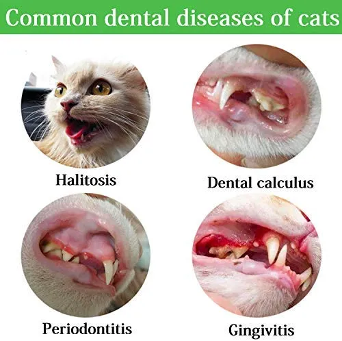 Juguetes de limpieza de dientes de gato, cepillo de dientes de gato, juguete de gato IQ, juguetes interactivos de gato para masticar, cepillo de dientes en forma de pez para masticar mascotas, juguetes de limpieza de dientes de goma para gatos gatitos