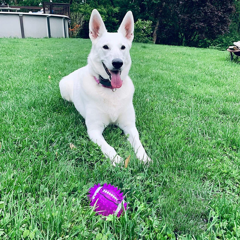 gnawsome Squeak y luz para perros de fútbol, gran 4.5," colores variarán