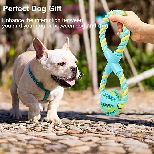 Pelota de juguete QINUKER para mascotas, interactiva, duradera, fuerte para masticar, jugar a IQ, juguete de entrenamiento para masticar, suave goma natural, resistente a mordeduras para cachorros pequeños y medianos en interiores y exteriores