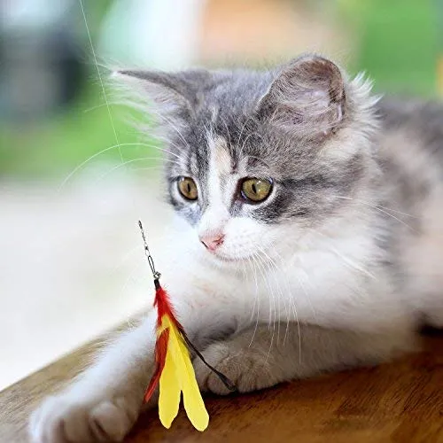 Pawaboo Juguete de plumas para gato, varita interactiva para gato, juguete de pluma voladora con varita extra larga y campana pequeña, juguete divertido para jugar para gatitos o gatos.