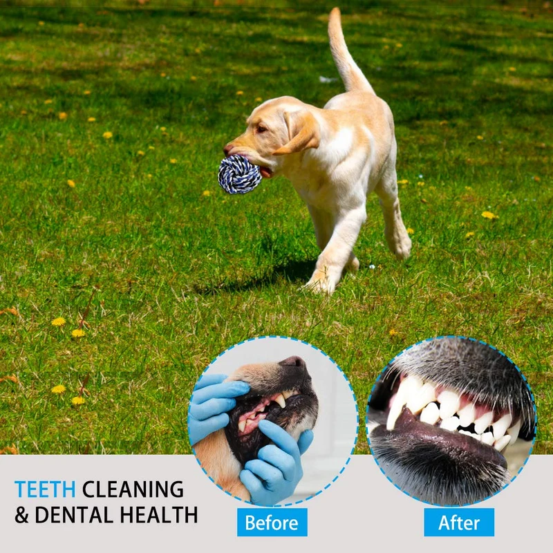 LOUTAN Dog Rope Toys for Aggressive Chewers Durable Tough Large Dog Chew Toys - Indestructible Small Dog & Puppy Teething Toys with 100% Washable Cotton Set of 11