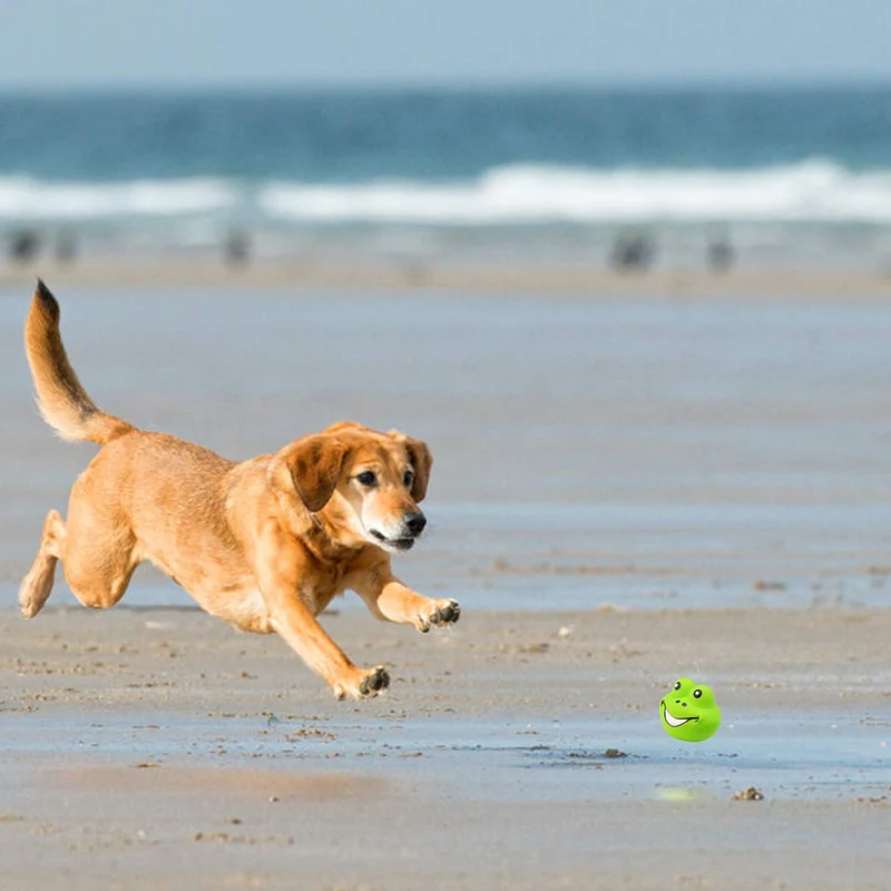 HDSX Juguetes de látex para perros, divertidos juegos de animales, juego interactivo para perros pequeños (6 piezas)