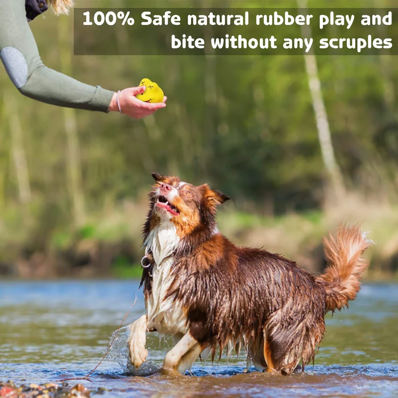 HDSX Juguetes de látex para perros, divertidos juegos de animales, juego interactivo para perros pequeños (6 piezas)