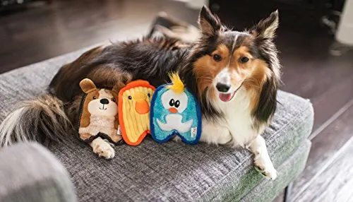 Outward Hound Invincibles Minis Puppy Dog Toy