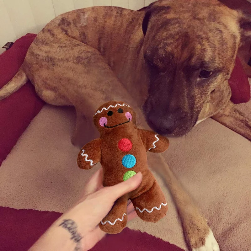 JPB - Juego de 4 juguetes de peluche para perros pequeños