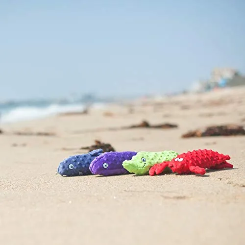 ZippyPaws – Botella Crusherz, sin relleno perro juguete con Reusable Squeaker – Utilice botellas de agua vacías para Crunchy Chew juguetes