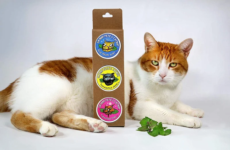 Juego de regalo de tres piezas de gourmet Catnip.