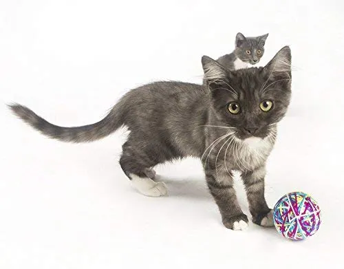 Pet Craft Supply Yowlin' Yarn - Multi Color Yarn Balls with Rattle Cat Toys