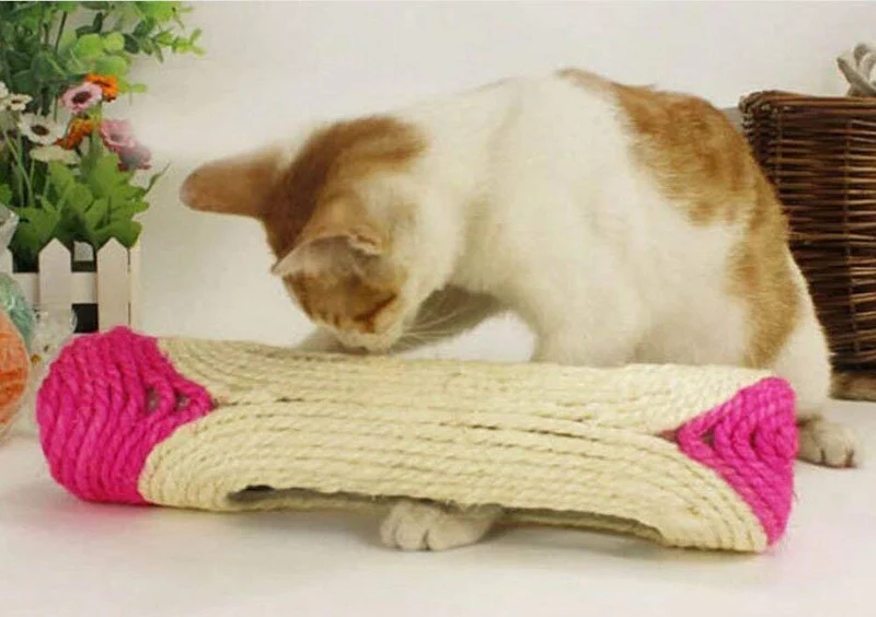 Yeecoofei - Rodillo para gatos y gatos con 3 bolas de entrenamiento