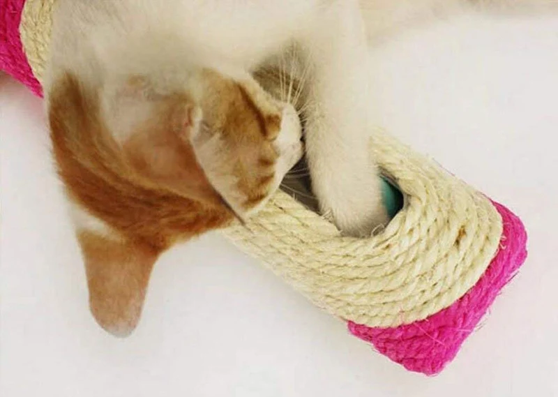 Yeecoofei - Rodillo para gatos y gatos con 3 bolas de entrenamiento