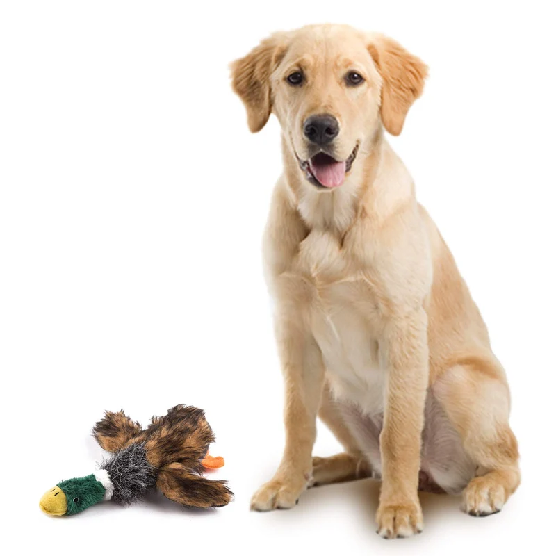 Juguete para perro de Wangstar Pet Mallard, juguete para perro chirriante, juguete para perros pequeños y medianos