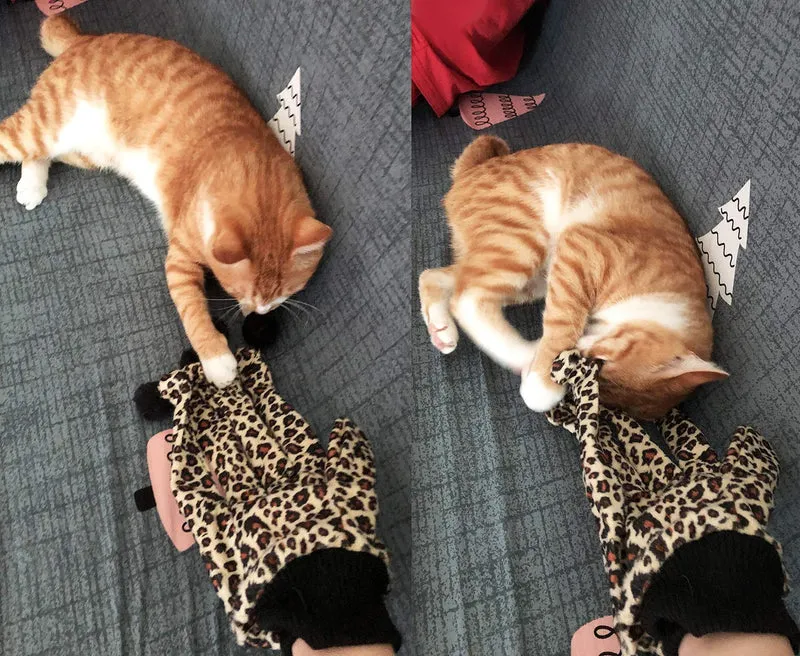 Legendog - Guantes interactivos para gato, juguetes para gatos, juguetes para gatos