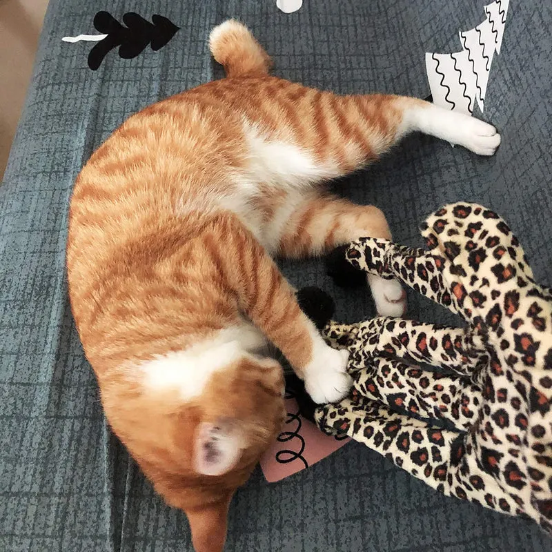 Legendog - Guantes interactivos para gato, juguetes para gatos, juguetes para gatos