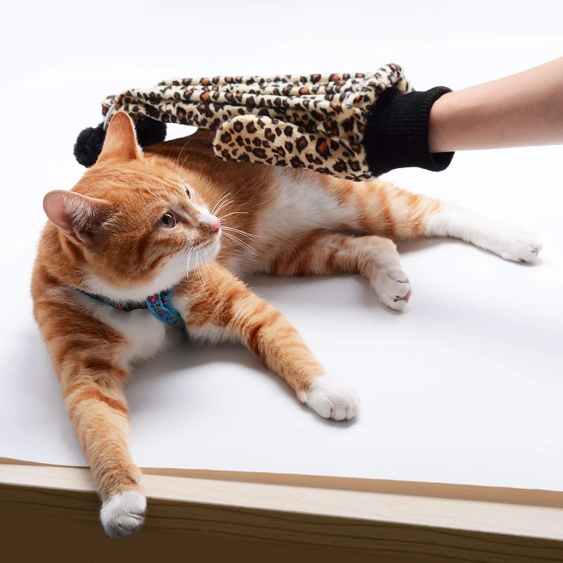 Legendog - Guantes interactivos para gato, juguetes para gatos, juguetes para gatos