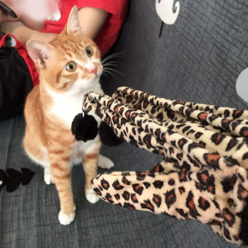 Legendog - Guantes interactivos para gato, juguetes para gatos, juguetes para gatos